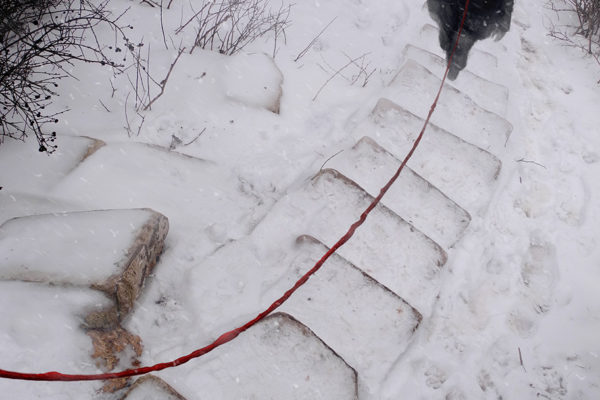 Виталий Ильин. Красная нить 2019, цифровая графика, коллаж